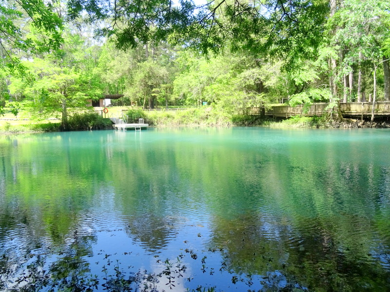 Blue Hole at Florida Caverns State Park