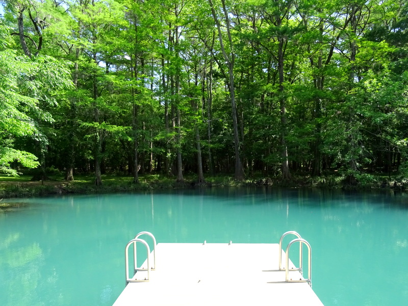 The Blue Hole at Florida Caverns State Park