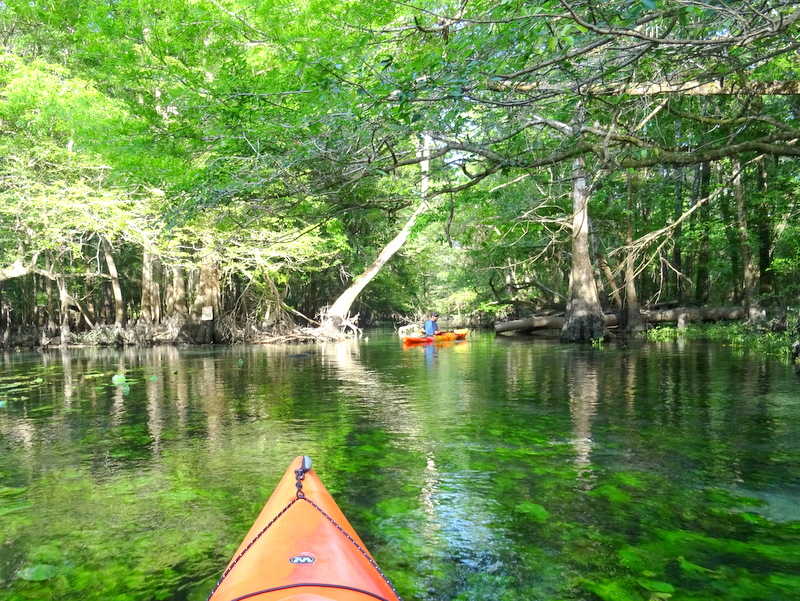 Florida Caverns State Park