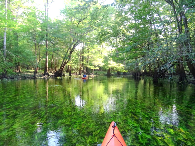 Florida Caverns State Park