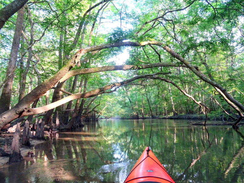 Florida Caverns State Park