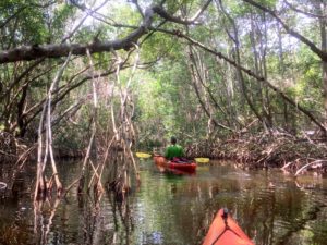 Everglades National Park
