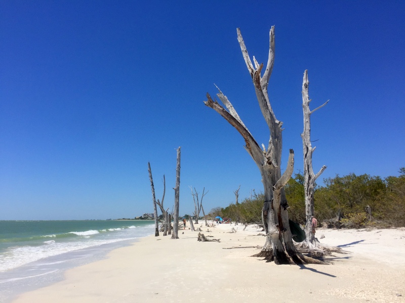 Lovers Key State Park