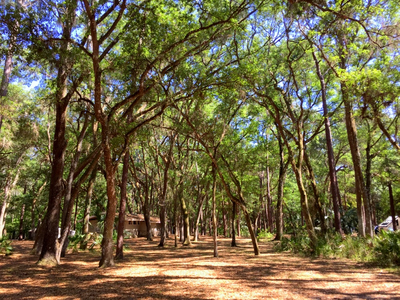 Hillsborough River State Park