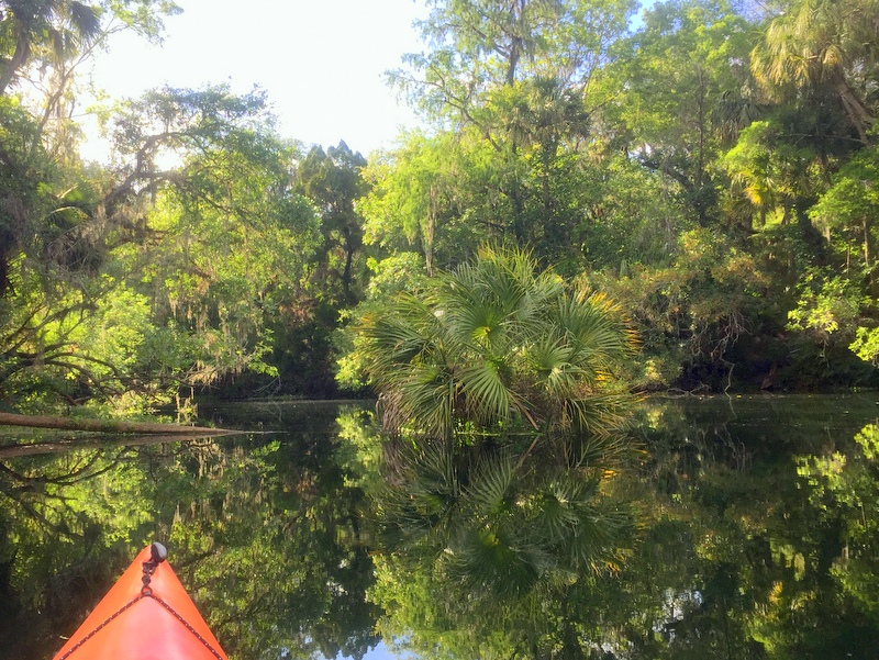 Hillsborough River State Park