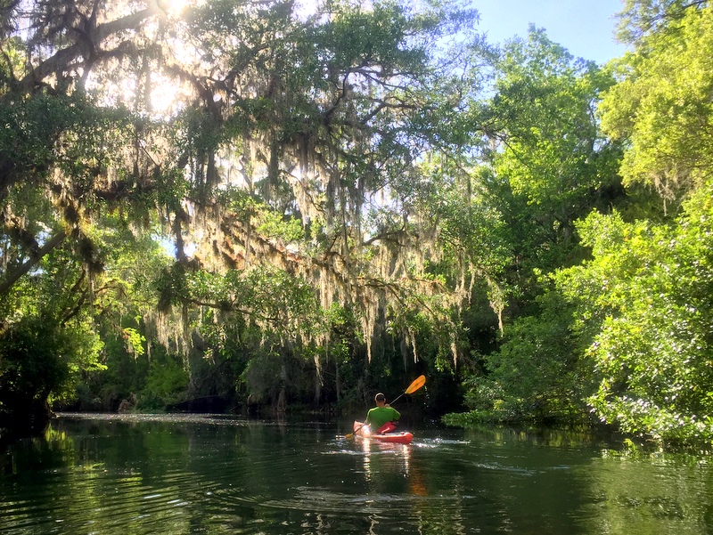 Hillsborough River State Park