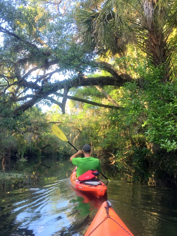 Hillsborough River State Park