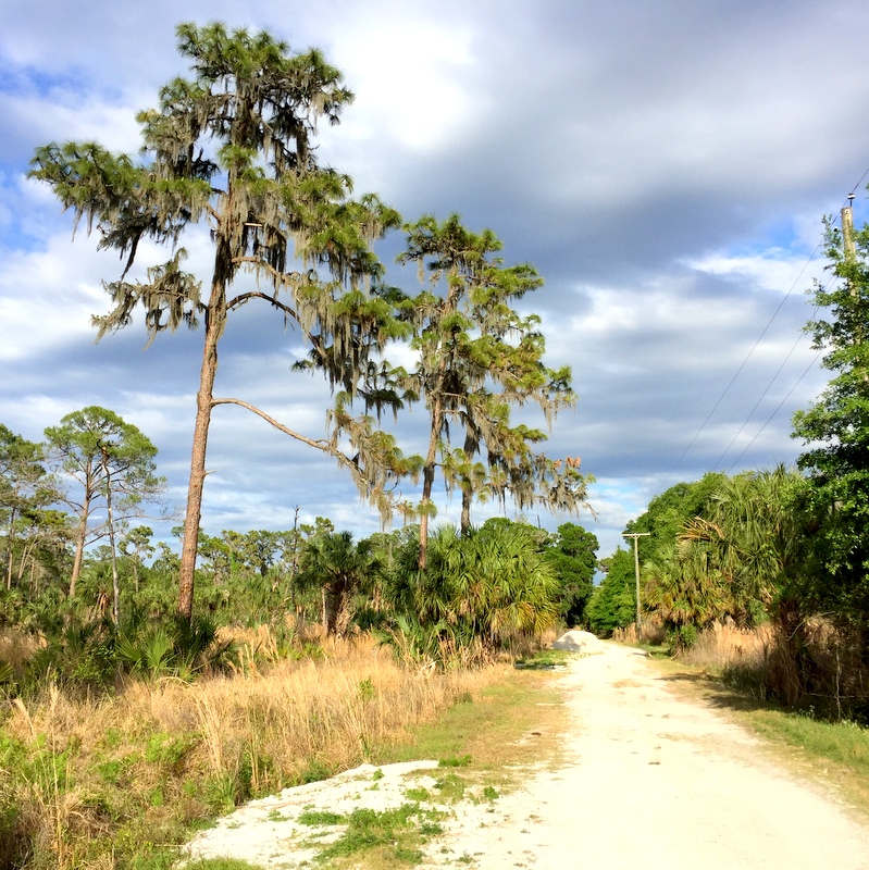 Hillsborough River State Park, Florida