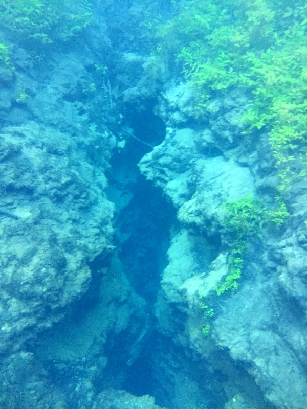 Chipola River spring