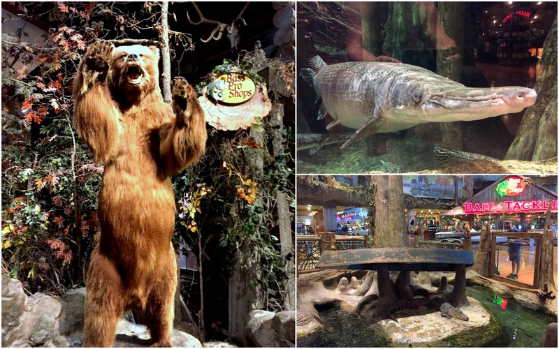 Bass Pro Shops