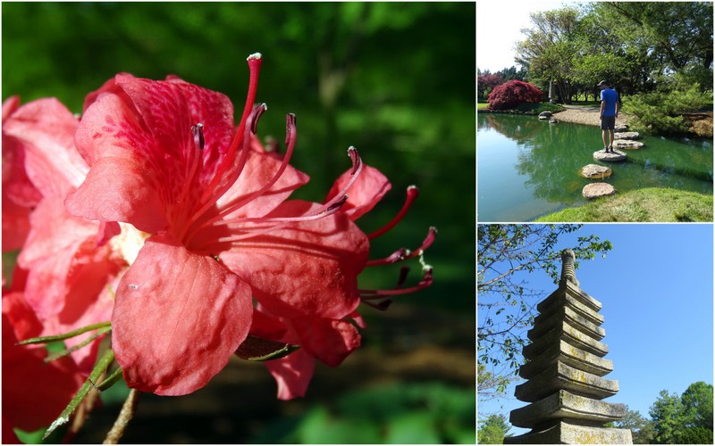 Mizumoto Japanese Stroll Garden