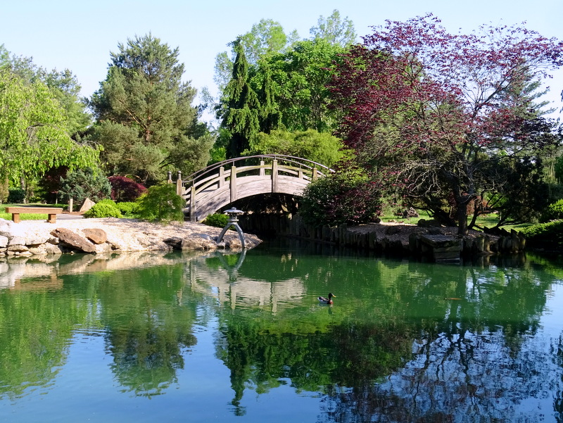 Mizumoto Japanese Stroll Garden Springfield Missouri Watsonswander