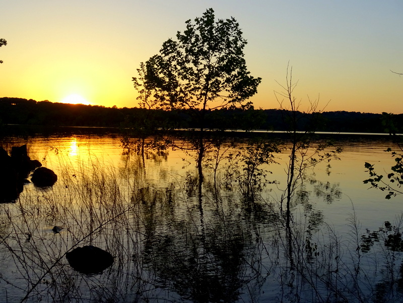 Stockton Lake, MO