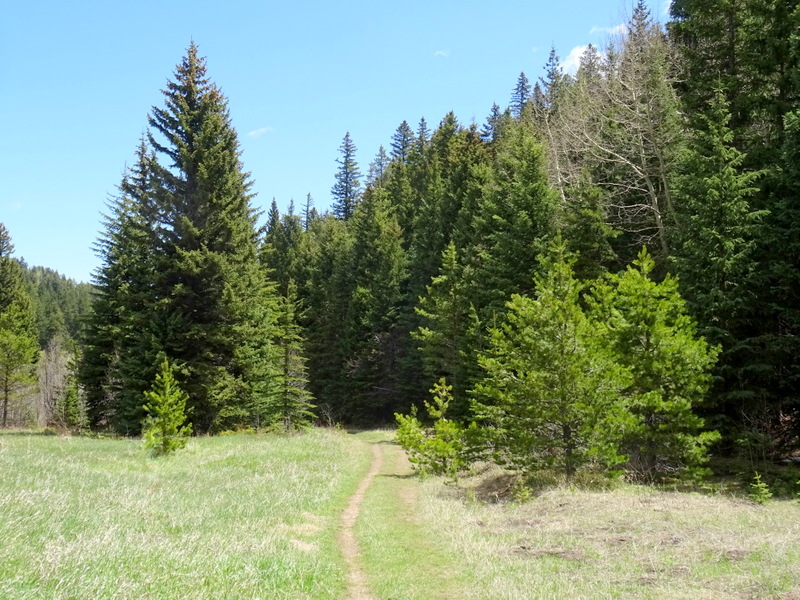 Idaho Springs, CO