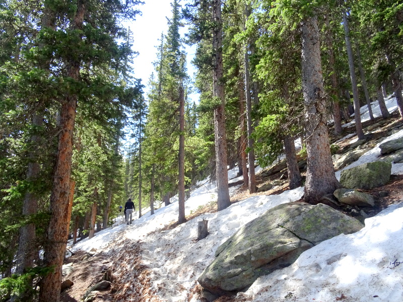 Chief Mountain Trail, CO