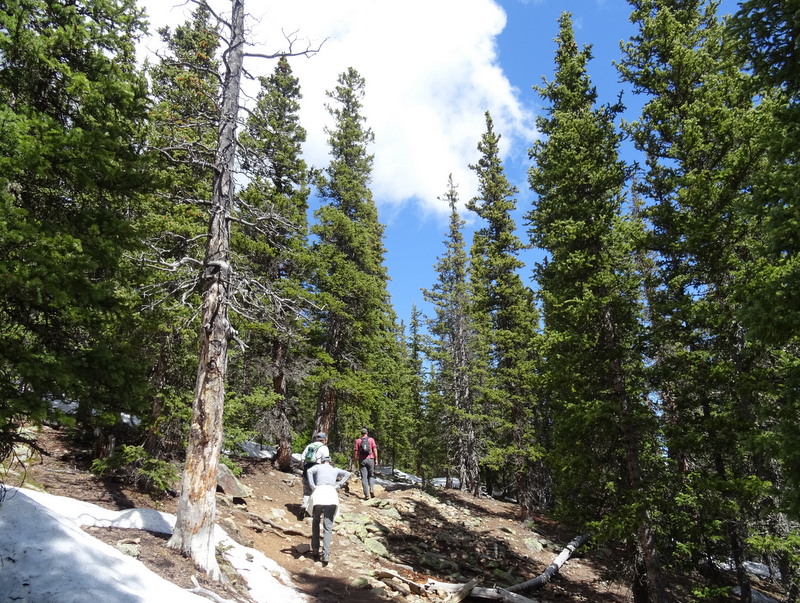 chief-mountain-trail-colorado