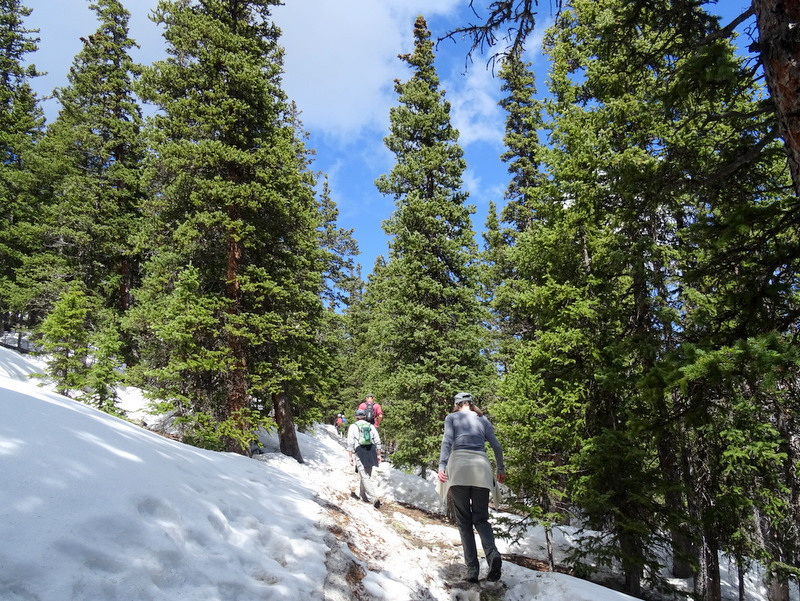 Chief Mountain Trail, CO