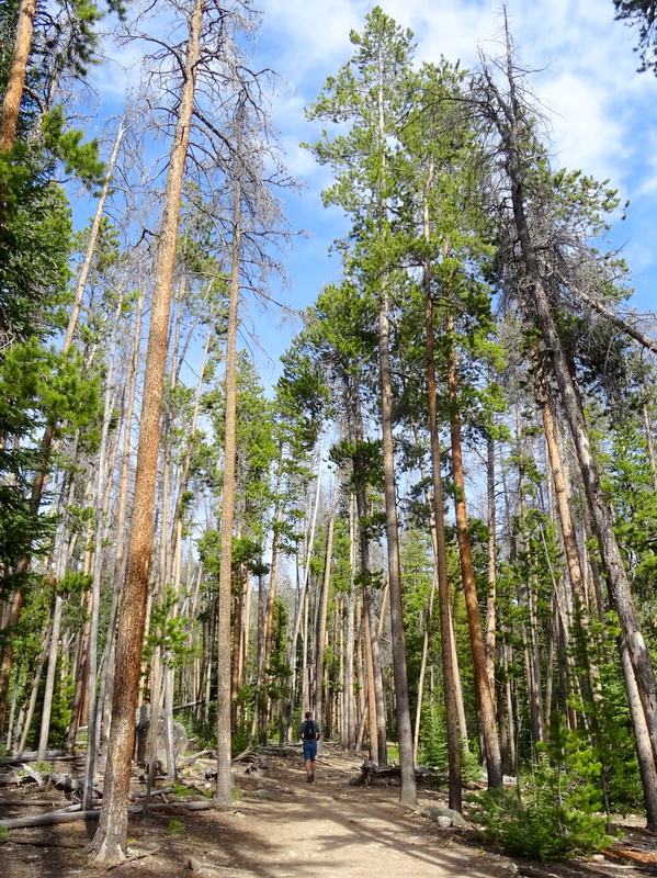 West Side Hikes in Rocky Mountain National Park