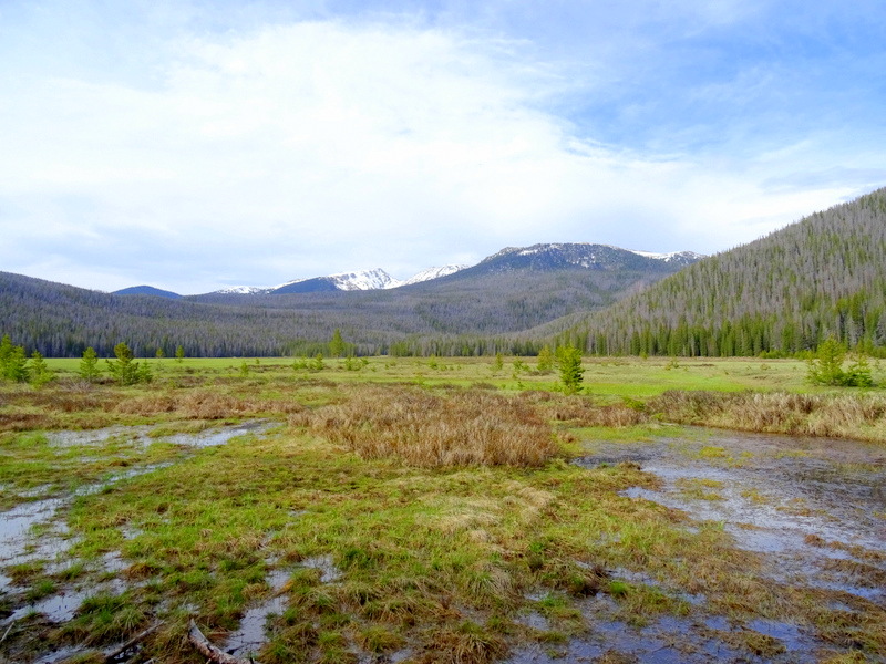 Rocky Mountain National Park Big Meadows Trail