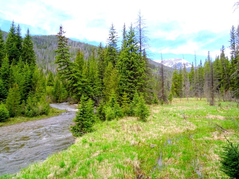 Rocky Mountain National Park LuLu City Trail