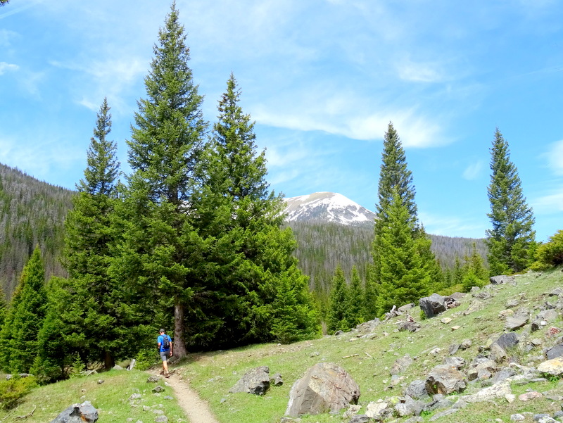 Rocky Mountain National Park Big Meadows Trail