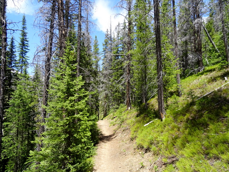 Rocky Mountain National Park LuLu City Trail