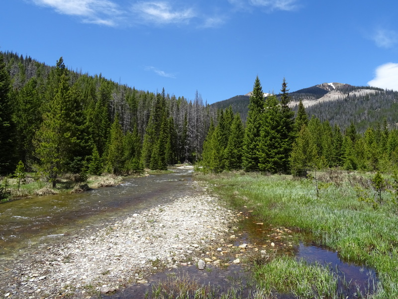 Rocky Mountain National Park LuLu City Trail