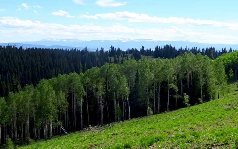 Rabbit Ears Pass - Steamboat Springs