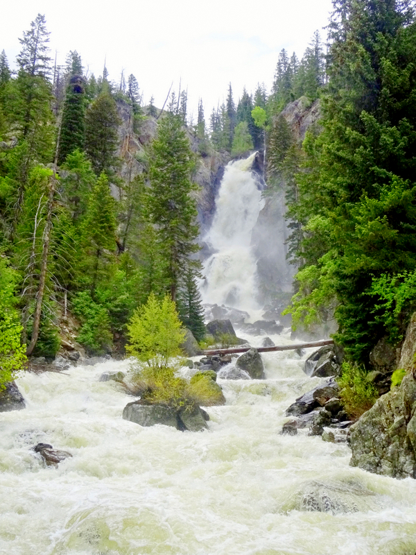 Fish Creek Falls, Steamboat Springs