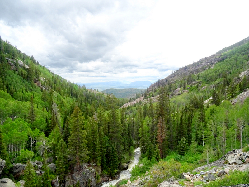 Hiking above Fish Creek Falls