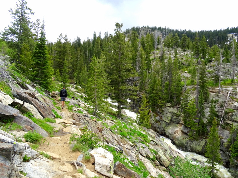 Fish Creek Falls Trail, Steamboat Springs