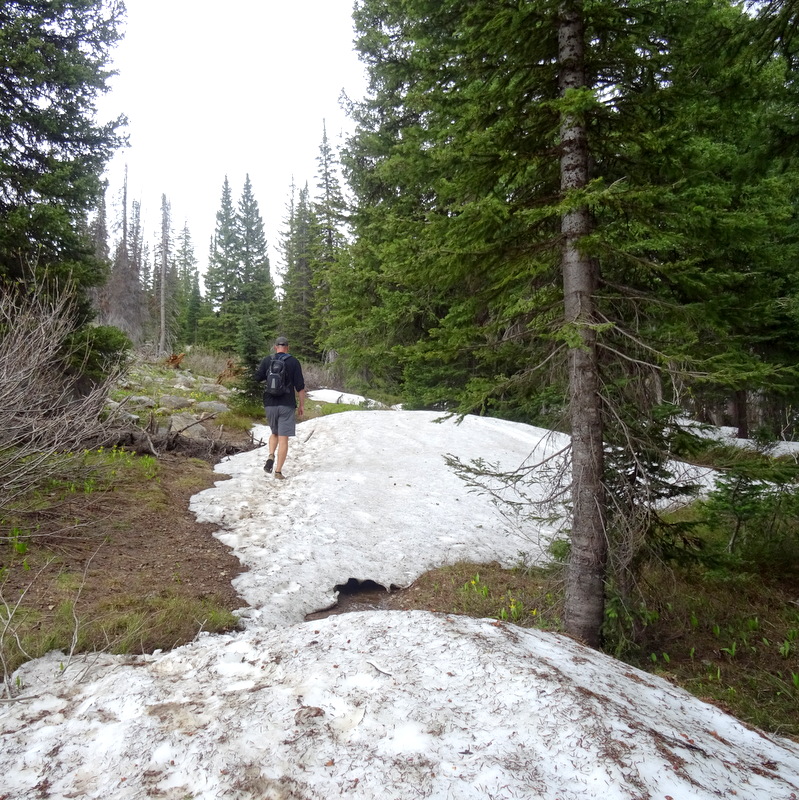 Fish Creek Falls Trail, Steamboat Springs