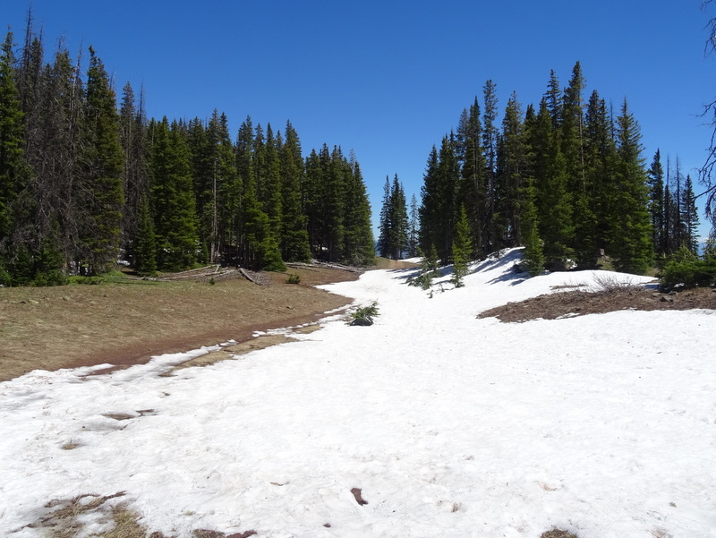 Rabbit Ears Peak Trail, Colorado