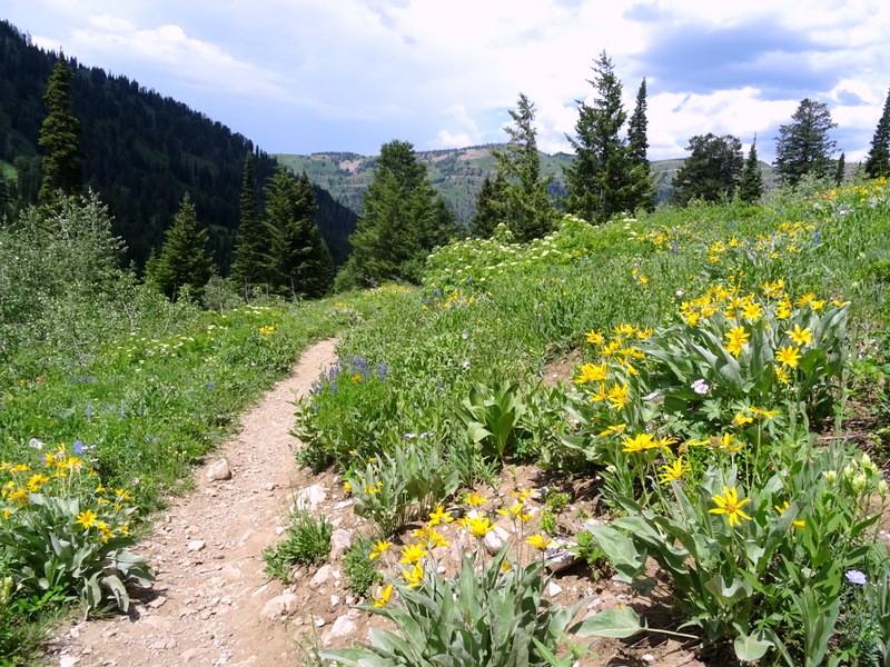 Darby Canyon Wind Cave Trail