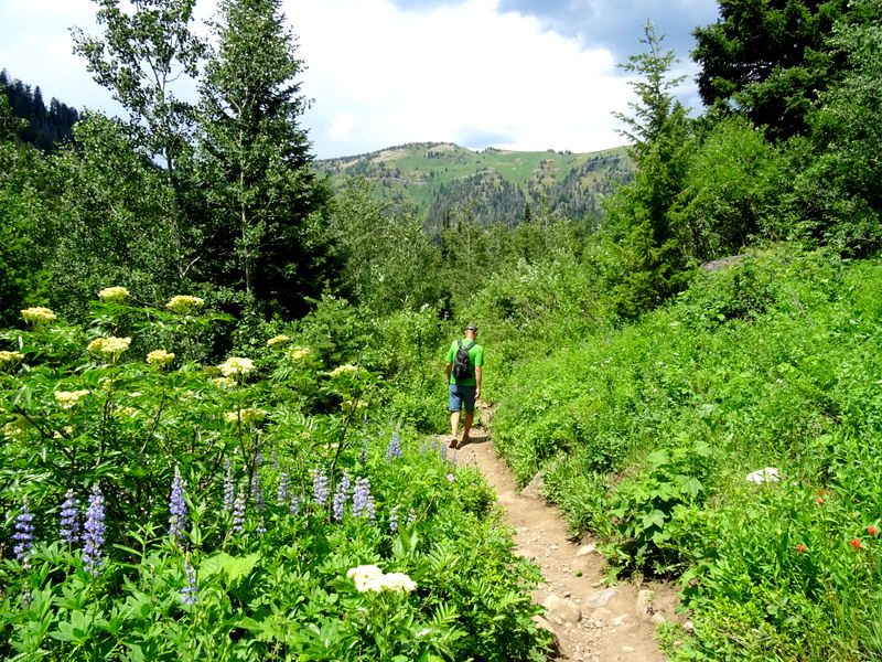 Darby Canyon Wind Cave Trail