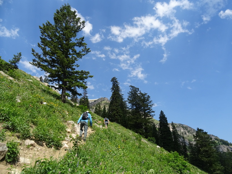 Devil's Stairs, Wyoming