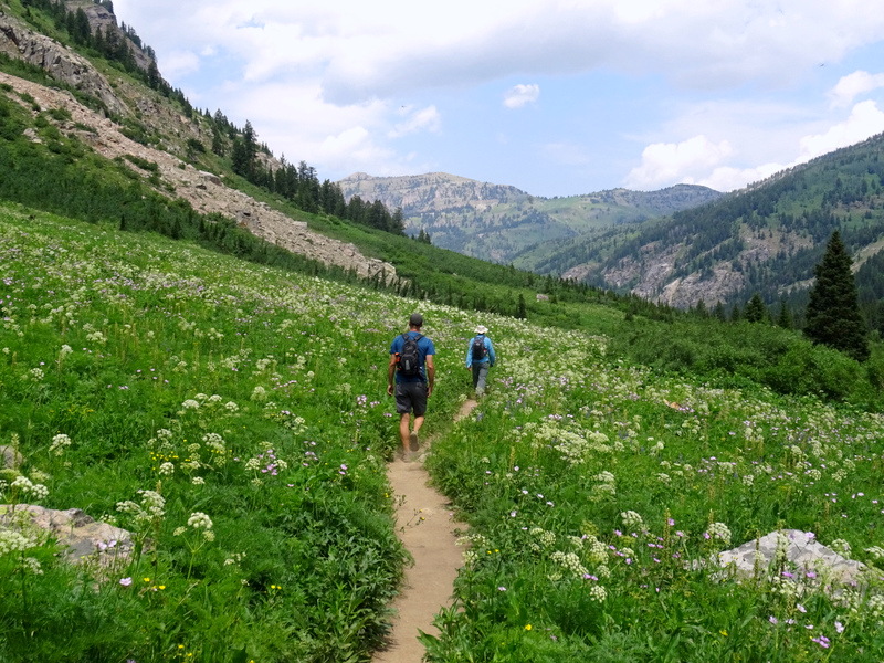 Alaska Basin Trail, Wyoming