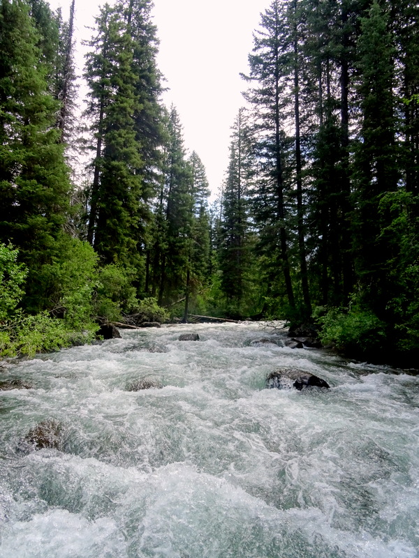 Teton Canyon