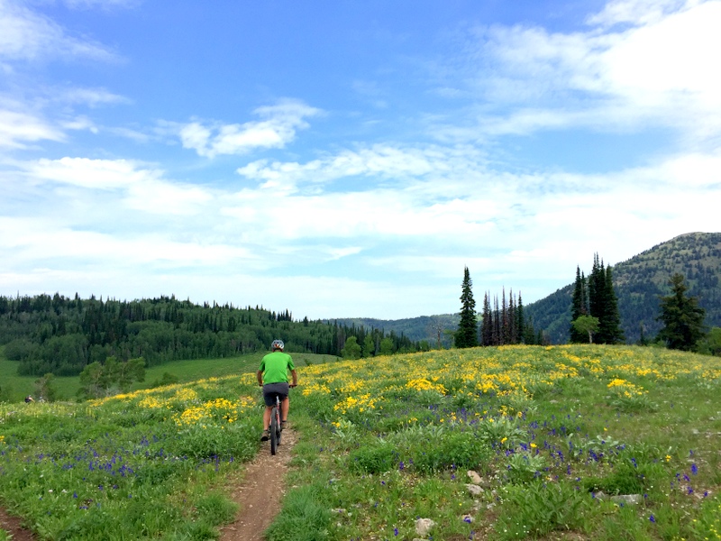 Grand Targhee Resort