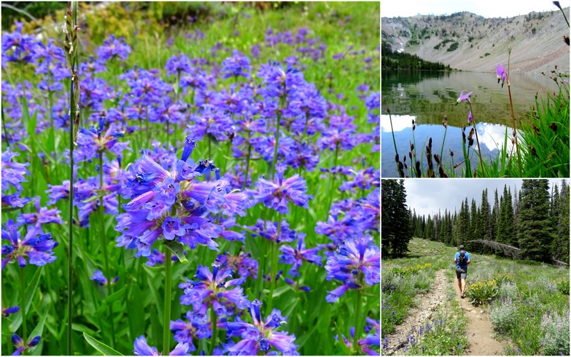 Norton Lakes Trail