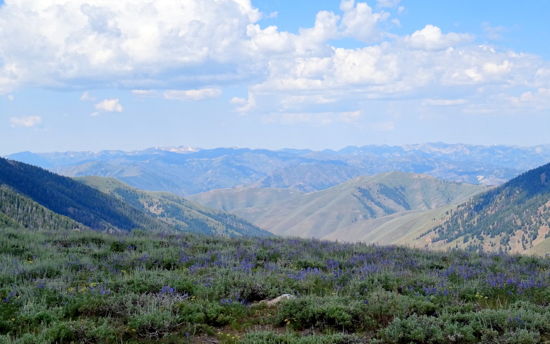  Pioneer Cabin Trail, Idaho