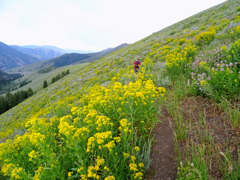  Pioneer Cabin Trail, Idaho