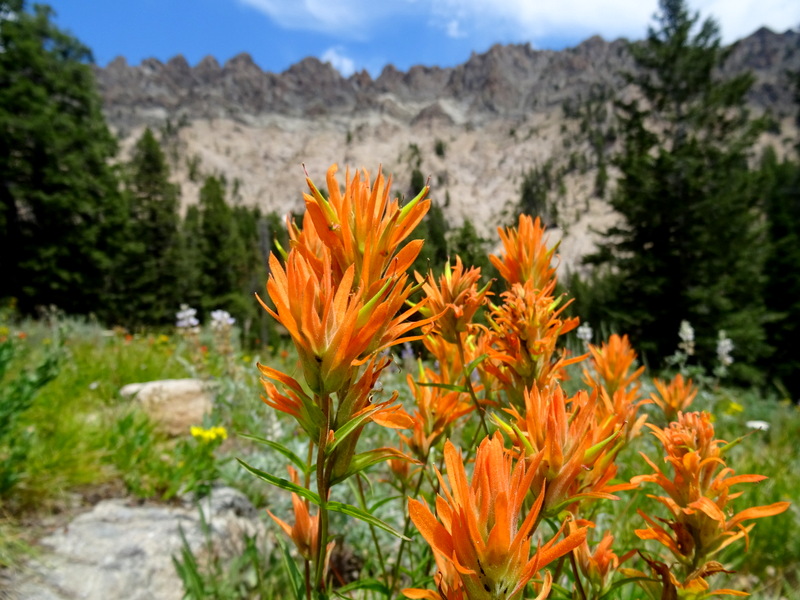 Norton Lakes Trail