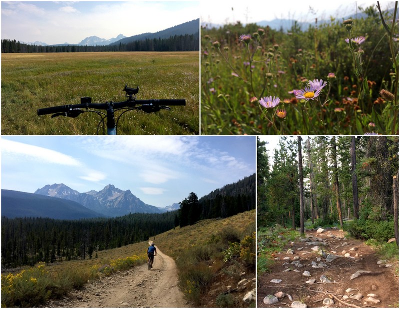 Elk Meadows Loop - Stanley, Idaho