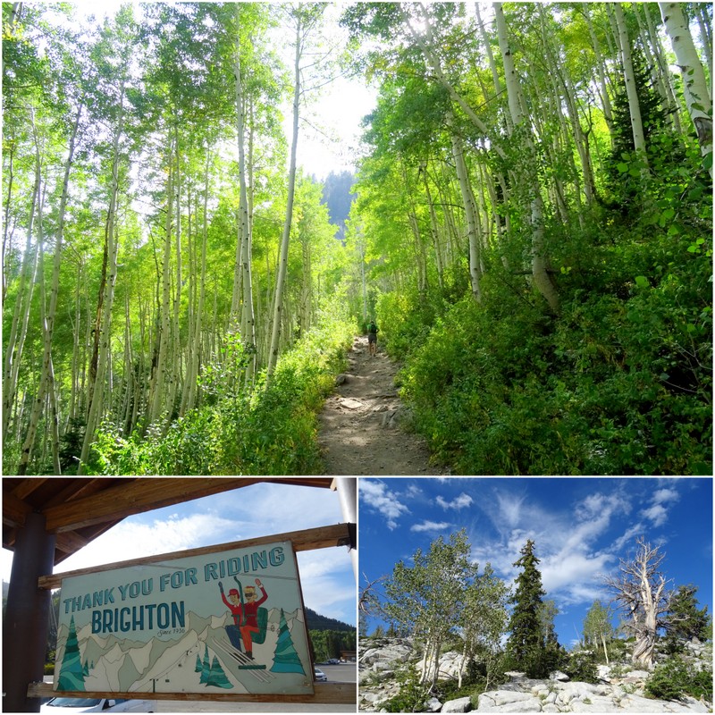 Big Cottonwood Canyon, Utah