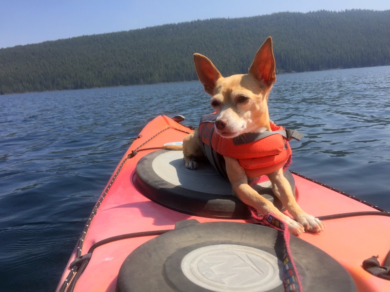 Redfish Lake Kayaking