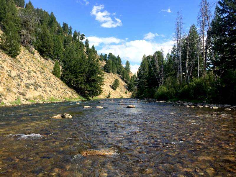 Salmon River - Stanley, ID