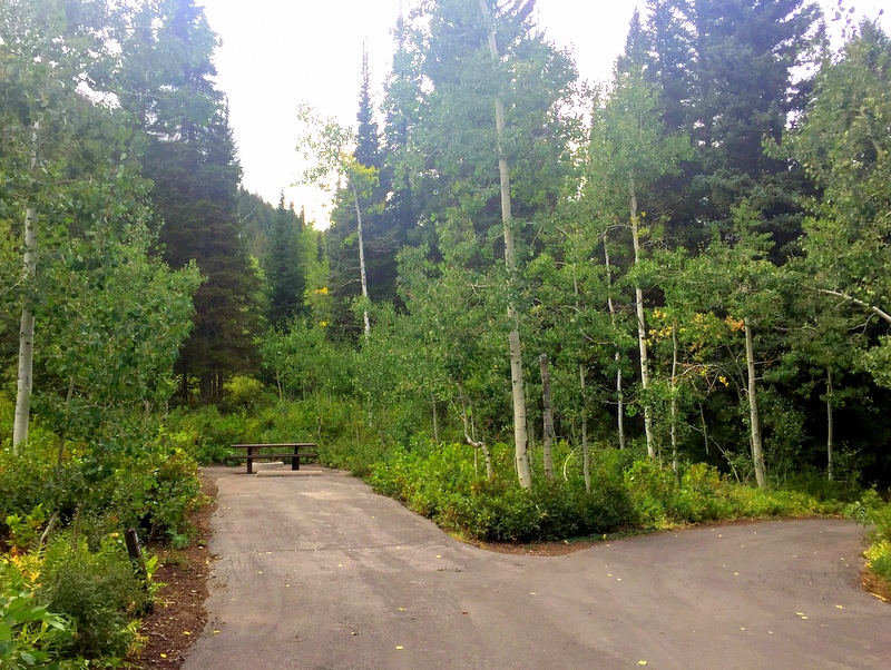 Spruces Campground, Utah