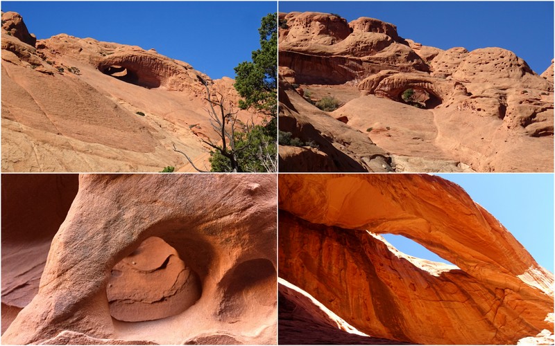 Upper Muley Twist Canyon Trail