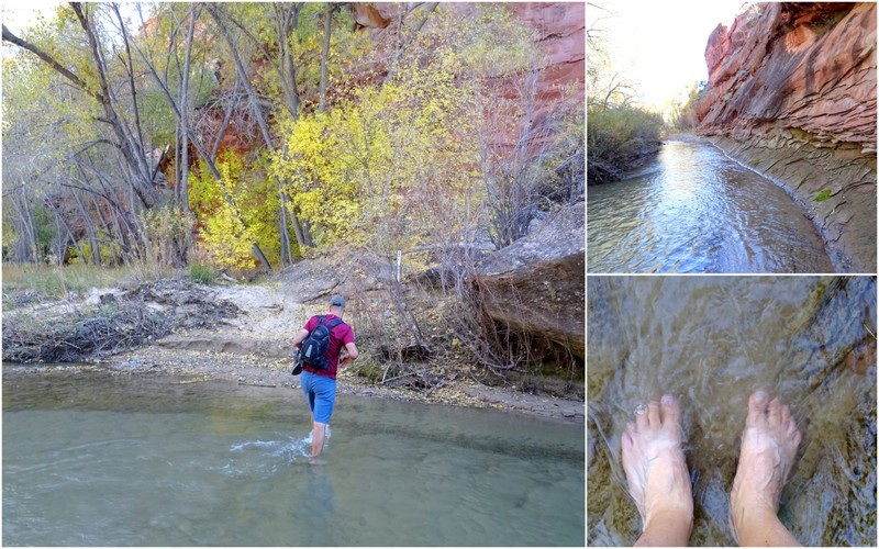 Phipps Arch Trail - Escalante, Utah